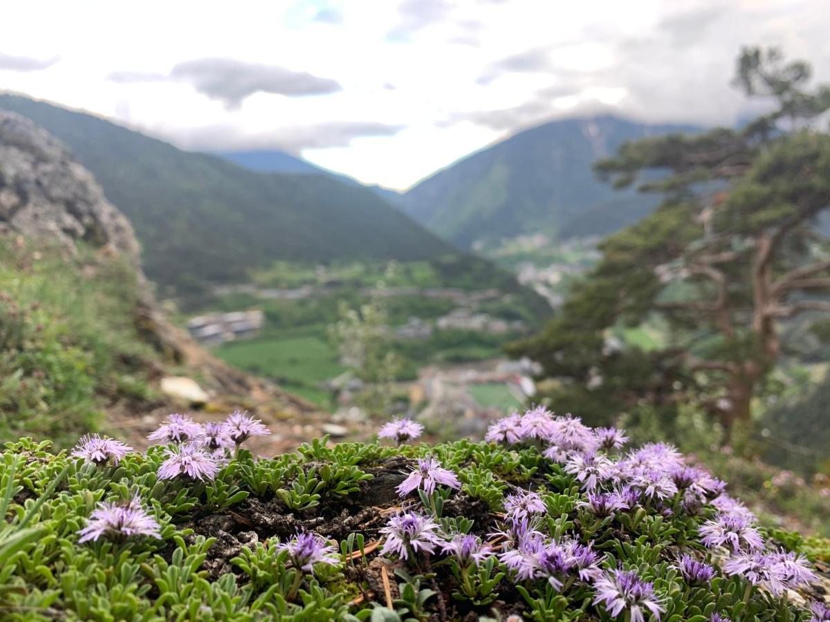 Maians - Peu Del Riu 122 - Vall D'Incles - Soldeu Екстериор снимка